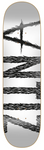 ANTIZ BIG SCRIPT - Full White 8.375"
